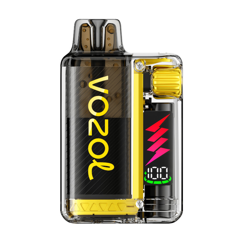 VOZOL ~ Vista Plug 10K ~ Mango Ice