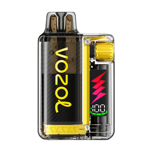 VOZOL ~ Vista Plug 10K ~ Mango Ice