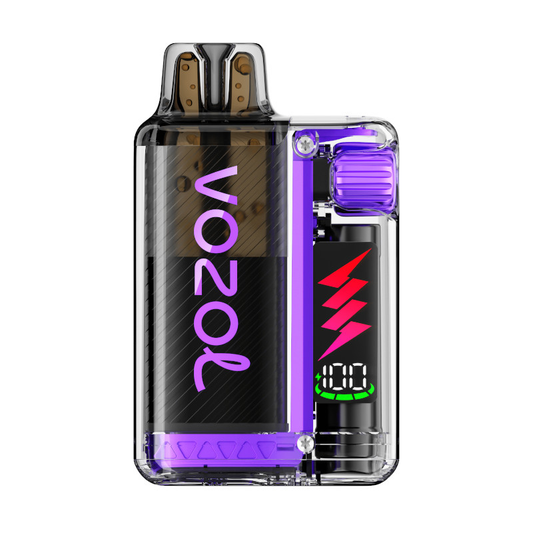 VOZOL ~ Vista Plug 10K ~ Blueberry Raspberry Lemon