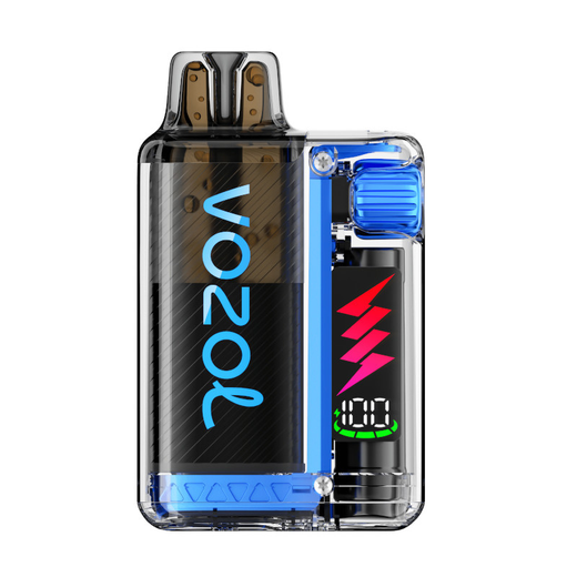 VOZOL ~ Vista Plug 10K ~ Blue Razz Ice