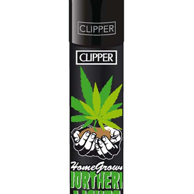 Clipper ~ Home Grown Northern Lights