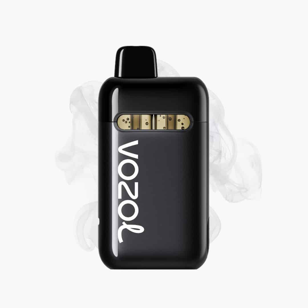 Vozol ~ Neon Plug Max ~ Akkuteil
